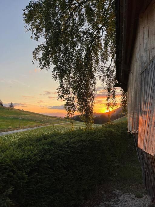 Nuit Insolite - La Cabane Du Haut-Doubs Les Gras Kültér fotó
