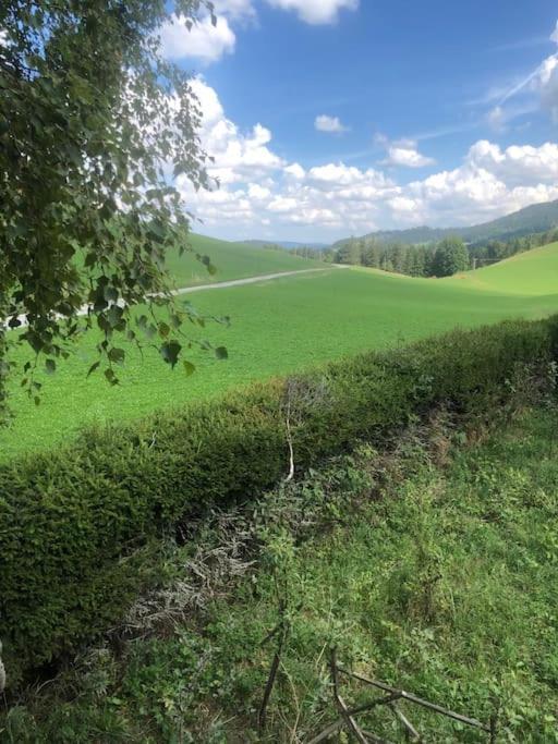 Nuit Insolite - La Cabane Du Haut-Doubs Les Gras Kültér fotó