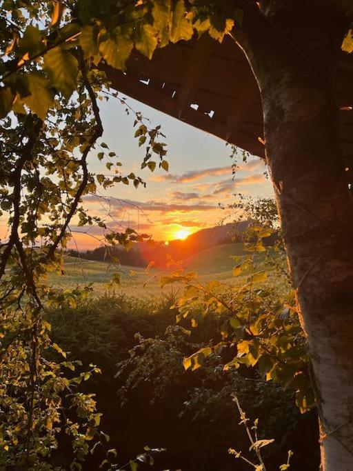 Nuit Insolite - La Cabane Du Haut-Doubs Les Gras Kültér fotó